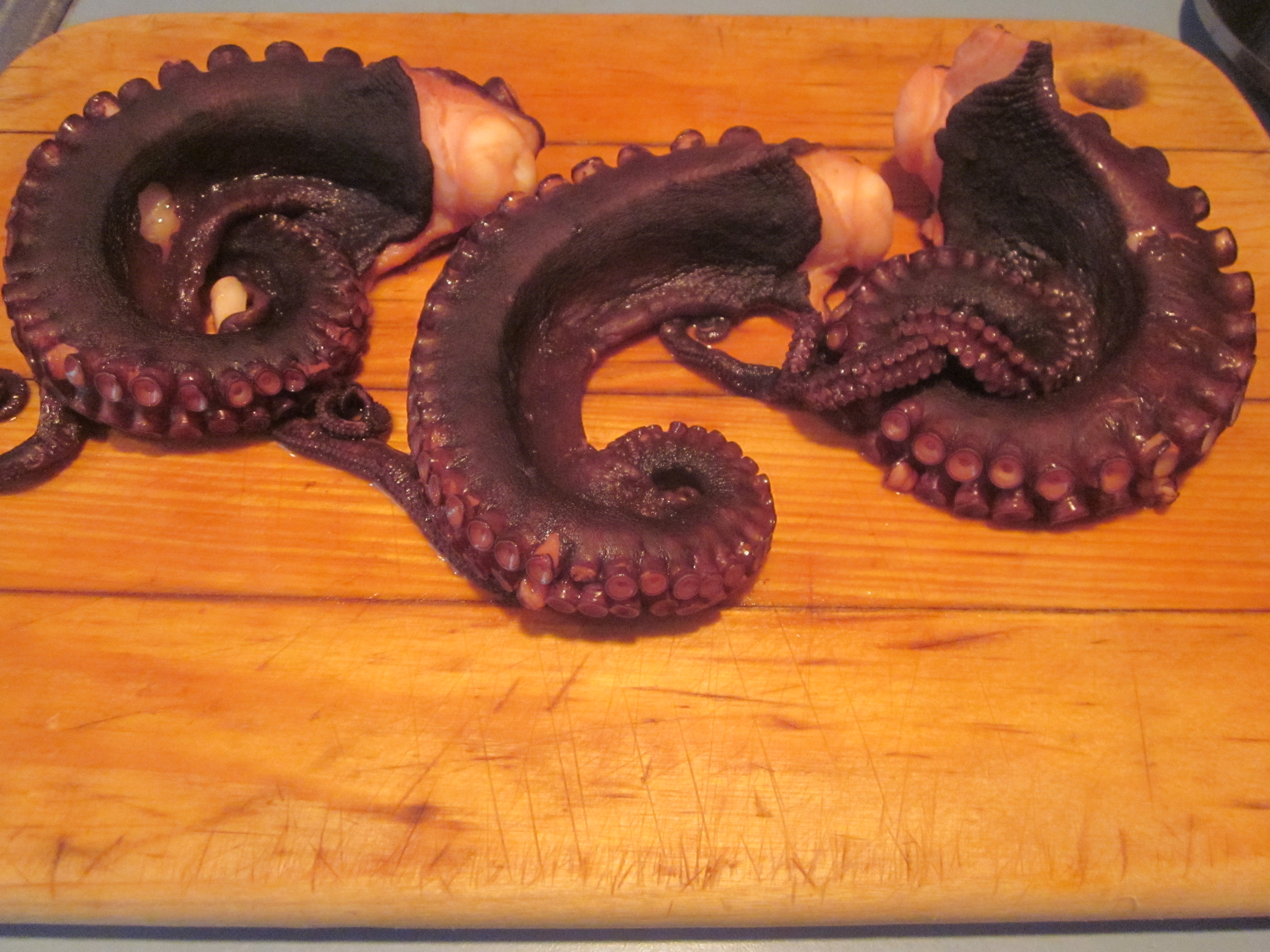 Octopus braised, ready to cook