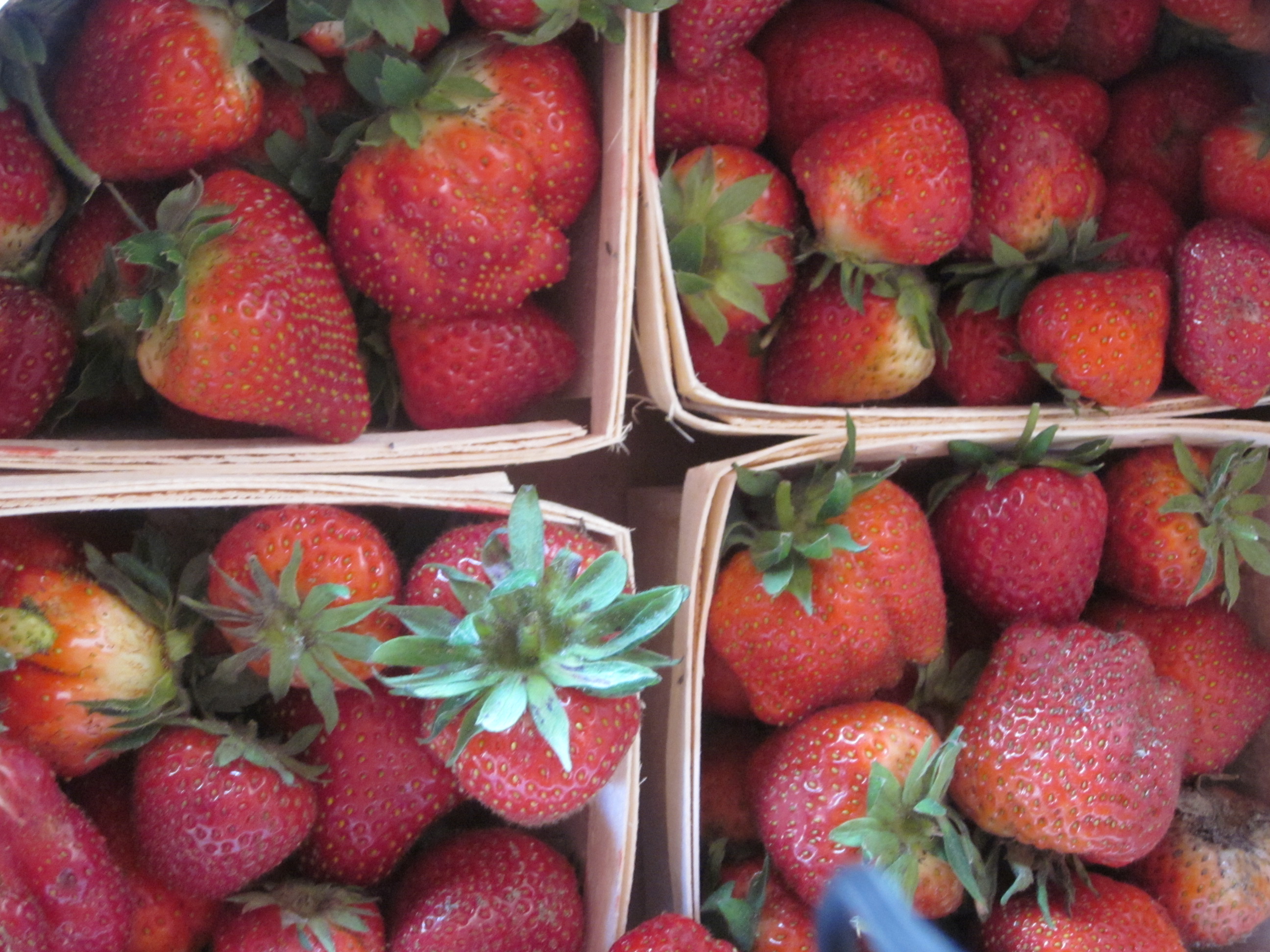 First Strawberries