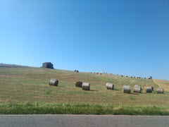Tuscan hayfield
