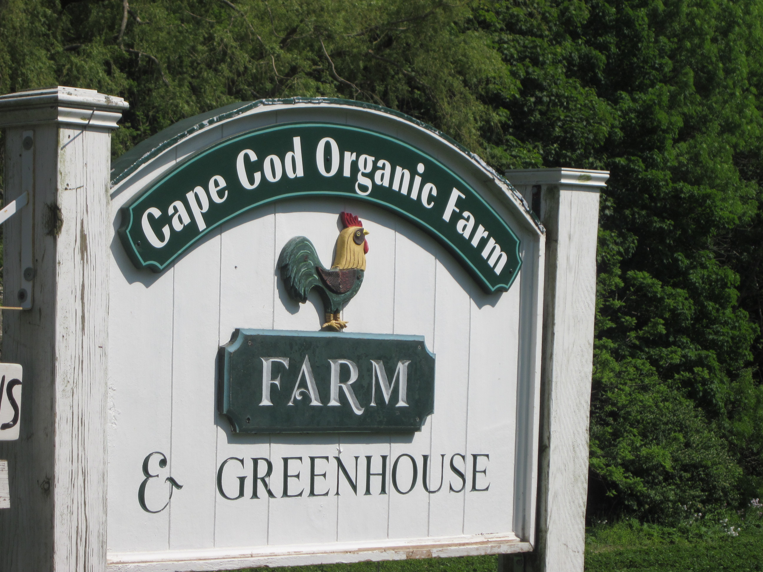 Cape Cod Organic Farm The Foodie Pilgrim