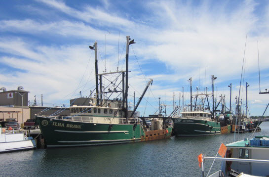 The Best of the New Bedford Fishing Fleet | The Foodie Pilgrim